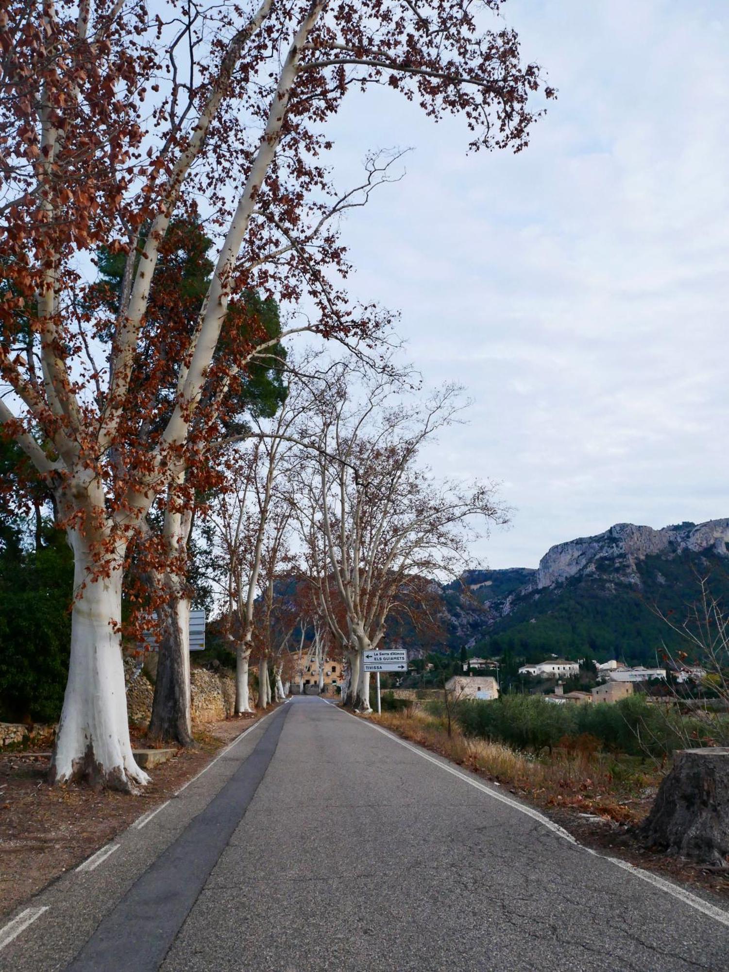 Apartament Rural Monetze Tivissa エクステリア 写真